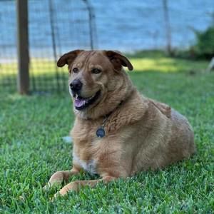 Meet your Posher, Delanne